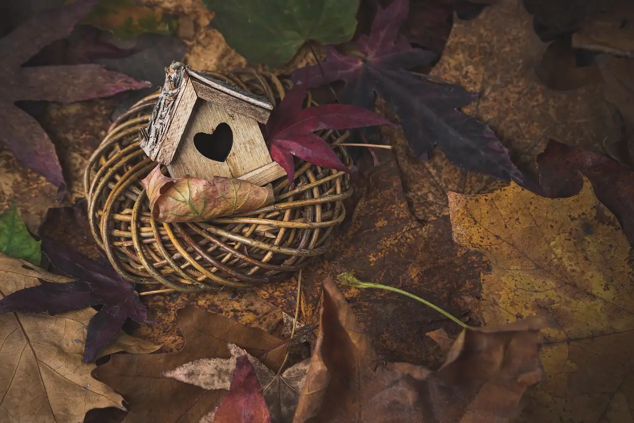 Günstige herbstdeko kaufen