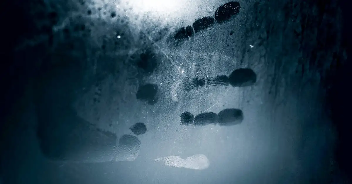 Wandbilder glas