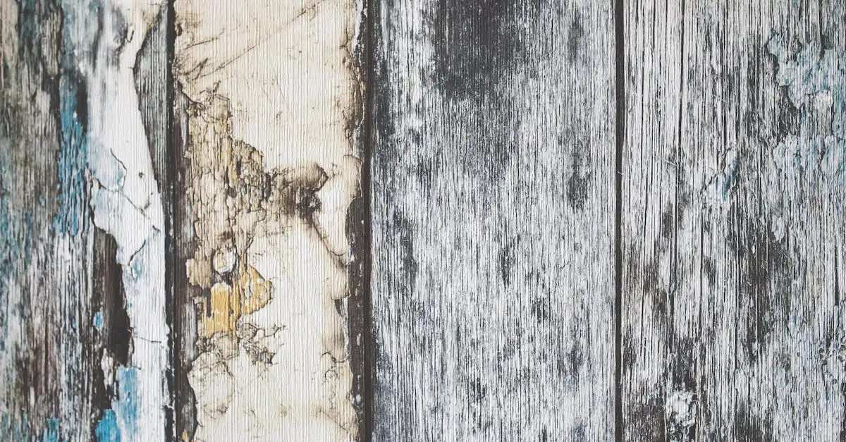 Holzscheiben als rustikale Wanddeko für Ihr Zuhause