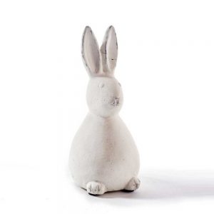 Hase „Tom“