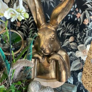 Hasenkopf Gold „Cool Rabbit“ mit aufgestützten Armen